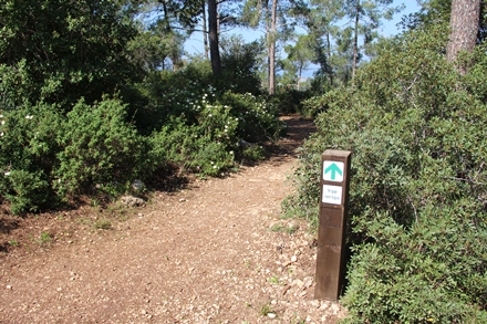 הכניסה לשביל. צילום: יואב לין