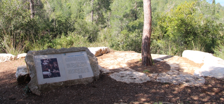 שביל הבריחה. צילום: יואב לין