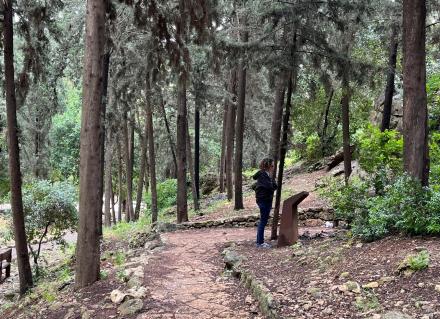יער הקדושים היום. צילום: אדוה קימלפלד