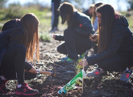 נטיעות טו בשבט ביער צרעה. צילום: יעל הרמן, ארכיון הצילומים של קקל