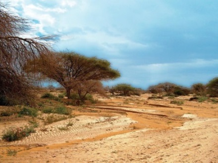 במקום כביש - שמורת טבע מוגנת. צילום: ארכיון קקל