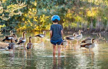 תמונה ששלח דרוד שמחוני לתחרות
