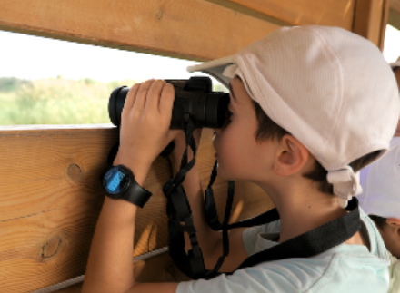 מתצפתים במצפור. צילום: איתי ברנע