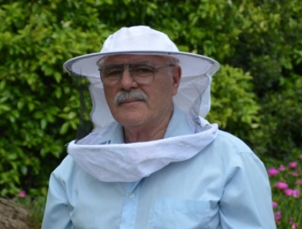 תופעת היעלמות הדבורים היא צירוף של מספר גורמים. דר עזריה לופו. צילום: מיכל גלוש