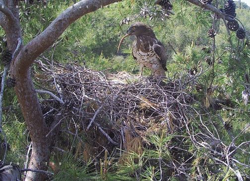 קרן נהנית מהקמטן שהביא לה בן זוגה
קרן נהנית מהקמטן שהביא לה בן זוגה
