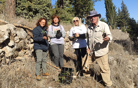 נורית היבשר (משמאל) וחברי אגודת הפרפרים בשתילת הקדדים. צילום: ארכיון הצילומים של קקל