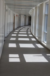 מסדרון בבית הספר הירוק בכפר סבא. תכנון: קנפו כלימור אדריכלים. צילום: ליטל כרמל
