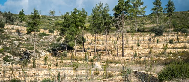 מערכת אקולוגית