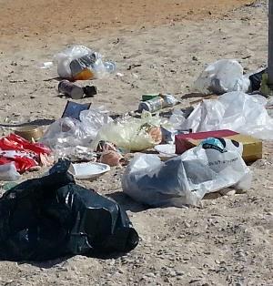 שקיות ניילון בחוף געש. תצלום באדיבות עמותת צלול