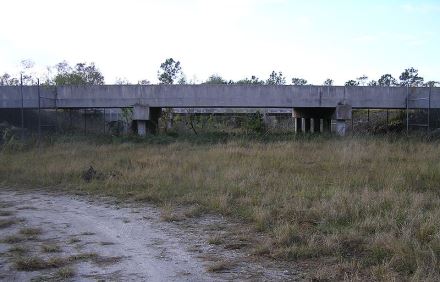 מעבר לחתוליים בפלורידה. צילום: ויקיפדיה