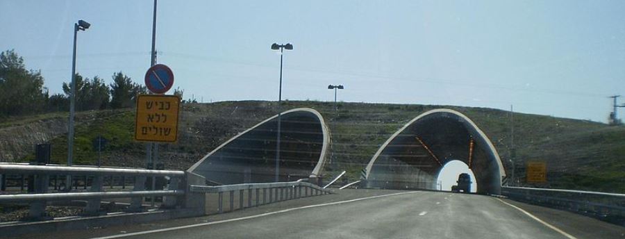 מעבר אקולוגי מעל כביש 6: מעבר לחיות בין שני צידי הכביש. צילום: עופרה שי