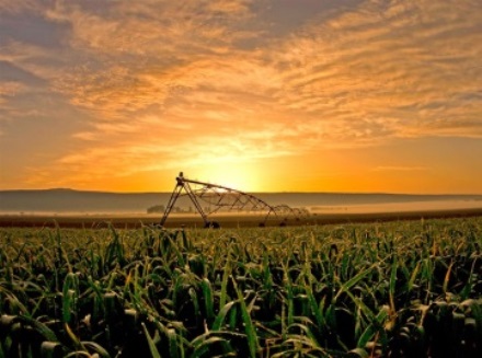 זריחה באגמון החולה. צילום: תומאס קרומנקר