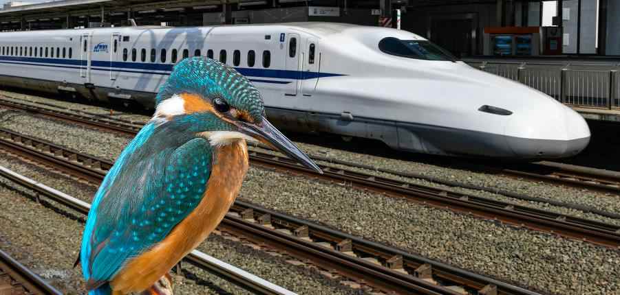רכבת השינקסן ביפן – בהשראת מקור השלדג. צילום: unsplash ו-pixabay