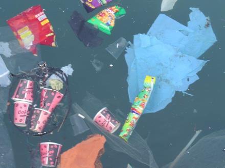 הים שלנו מלוכלך. בפלסטיק. לכלוך בים של יפו. צילום באדיבות עמותת צלול