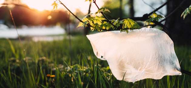 משך הזמן ששקית ניילון מבלה במחיצתנו הוא כ-20 דקות בלבד. צילום: pexels