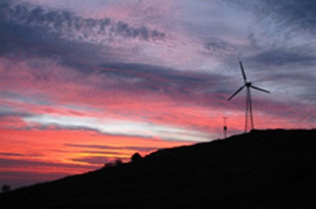 צילום: שאול פולנסקי