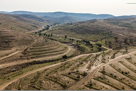 מערכת קציר הנגר של קק"ל ביער יתיר המווסתת את מי הגשם הניגרים בשטח. צילום: אלבטרוס, ארכיון הצילומים של קק"ל