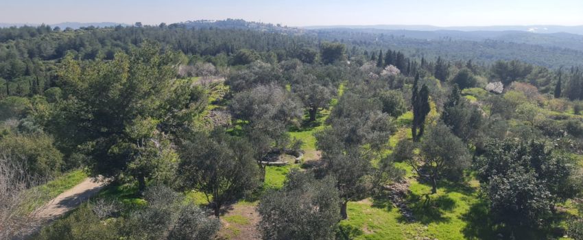 צילום: בלה נודלמן, ארכיון הצילומים של קקל