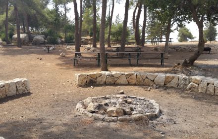 צילום: בלה נודלמן, ארכיון הצילומים של קקל