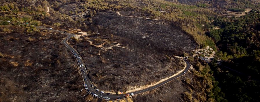 אחרי השריפה הגדולה. צילום אוויר: אלבטרוס, ארכיון הצילומים של קקל