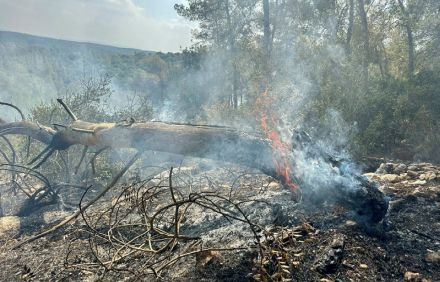 צילום: בוני שיינמן, ארכיון הצילומים של קקל