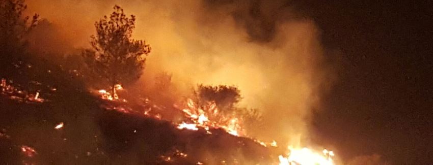 השריפה משתוללת. צילום: ציון ביטון