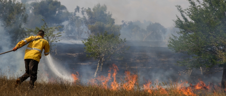 מכבים את השריפה. צילום: יהודה פרץ, ארכיון הצילומים של קק''ל