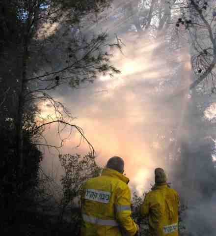 קקל נרתמת לסיוע בכיבוי השריפות. צילום: באדיבות ארכיון הצילומים של קקל