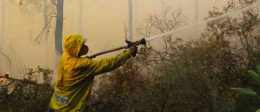 מכבים את השריפה ביער. צילום: ארכיון הצילומים של קקל