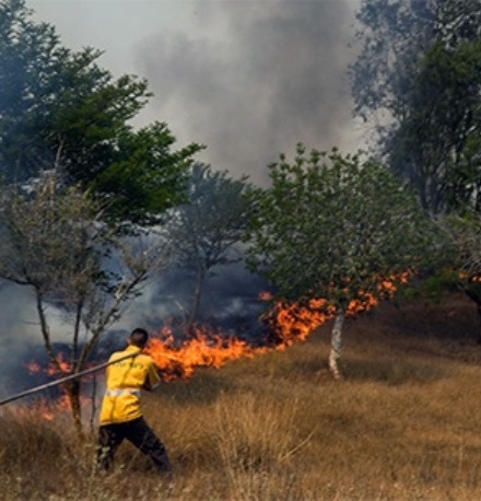 לוחם אש בקקל במאמצי כיבוי שריפת יער בעוטף עזה.  צילום: יהודה פרץ, ארכיון הצילומים של קקל