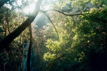 תופעת ההתחממות נגרמת מחוסר איזון בין הקרינה שנכנסת לכדור הארץ והקרינה שיוצאת ממנו. צילום: ארכיון הצילומים של קקל