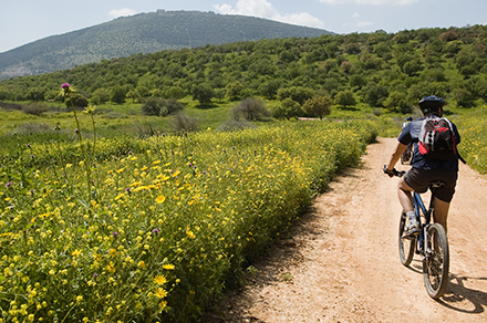 רוכבי אופניים ביער בית קשת. צילום: נדב רותם, ארכיון הצילומים של קקל