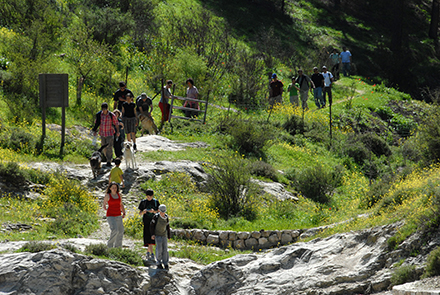 מטיילים ביער ביריה. צילום: אבי הירשפילד, ארכיון הצילומים של קקל