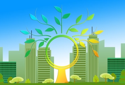 עצים - המכשיר היעיל והנפוץ ביותר להשבת CO2 אל הקרקע. צילום: pixabay