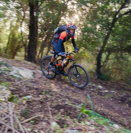 רכיבה ביער חניתה. צילום: אילן שחם, אתר האופניים של קקל