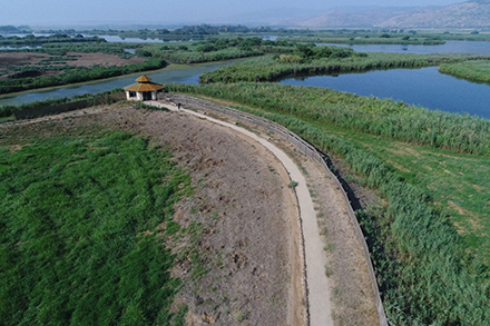 אגמון החולה-קק"ל. צילום: כאמל עליאן, ארכיון הצילומים של קק"ל