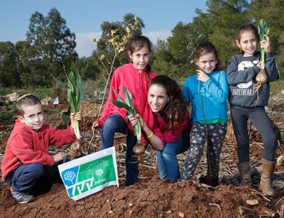 ילדים שותלים עצים חדשים ביערות קקל. צילום: ארכיון הצילומים של קקל
