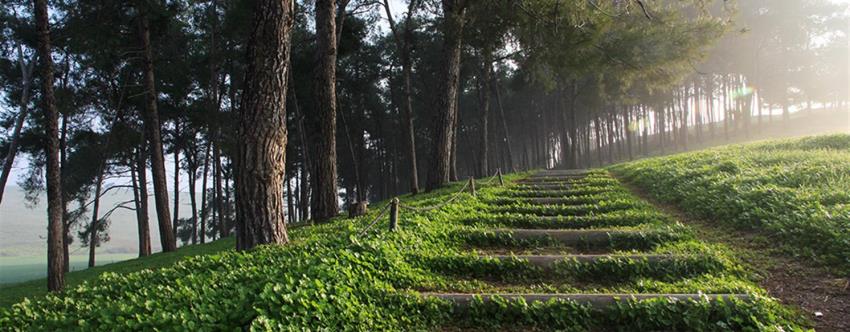 מרחב ביוספרי פארק רמות מנשה. זכה להכרה מאונסקו. צילום: יעקב שקולניק, ארכיון הצילומים של קקל