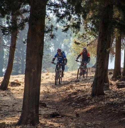 סינגל בנפתלי. צילום: אילן שחם, אתר האופניים של קקל