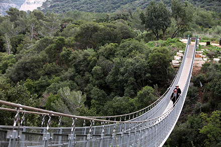 הגשר התלוי בפארק נשר. צילום: דרור ארצי, ארכיון הצילומים של קקל