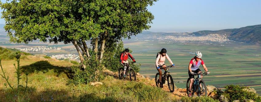 דיווש קבוצתי ביער טורען. צילום: אילן שחם, אתר האופניים של קקל