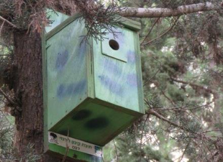 תיבת קינון של ירגזי ביער. צילום: ארכיון הצילומים של קקל 