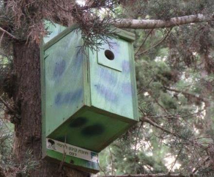 תיבת הקינון. צילום: ארכיון הצילומים של קקל
