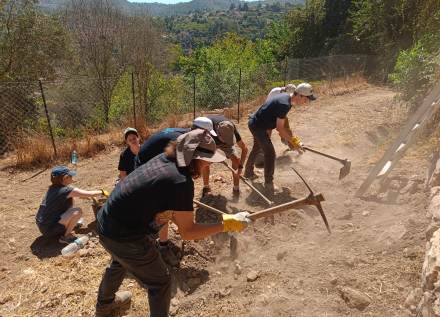 חניכי מכינת יסודות בעבודה ביער. צילום: הדר אברהמי, קקל