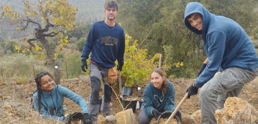 הסיירת בפעולה. צילום: הדר אברהמי, קקל