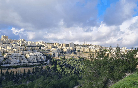 יער קהילתי פסגת זאב-נווה יעקב. צילום: קסניה ז'ורבל