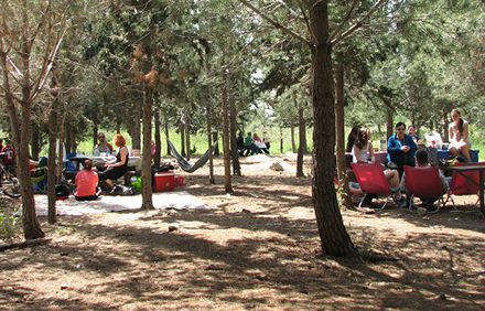 חניון ביער קהילתי שוהם. צילום: רוני קינדרמן