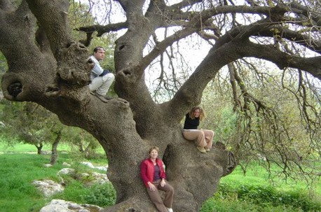 צילום: מיכאל חורי, באדיבות ארכיון הצילומים, קקל