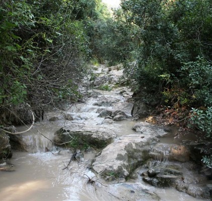 נחל ברק. צילום: יעקב שקולניק, ארכיון הצילומים של קקל