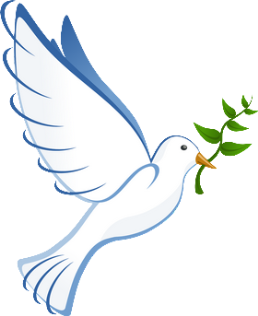 סמל השלום. יונה עם עלה של זית. צילום: pixabay